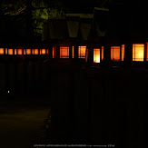 朝護孫子寺,紅葉(PK3_0163,F4.5,53mm,K3)2014yaotomi_.jpg