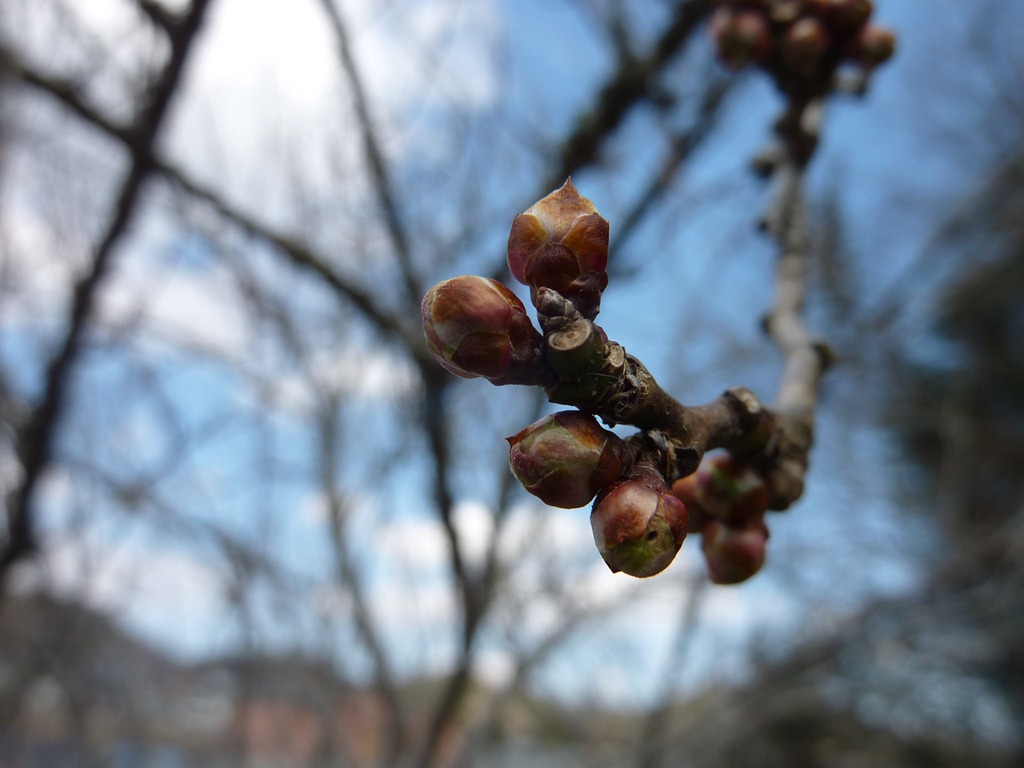 [P1160151%255B3%255D.jpg]