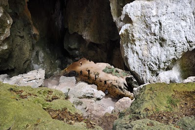DSC_0602.JPG