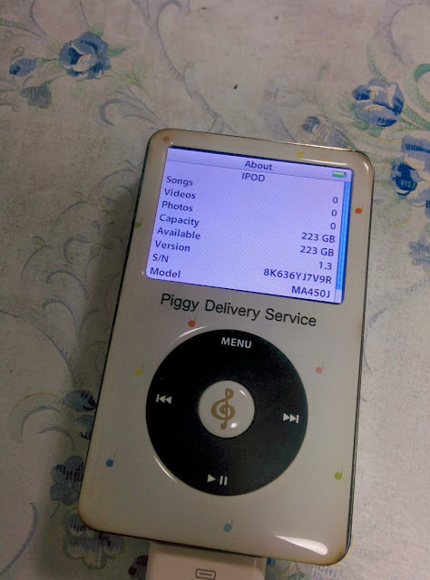iPod classic 第7世代 HDD160GBからSSD1TBにグレー+cengelkoyhuzurevi.com