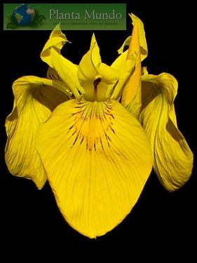 [image%255B8%255D.png]