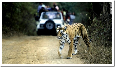 120725070514-india-tiger-parks-story-top