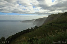 IMG_4398 IMG_4398