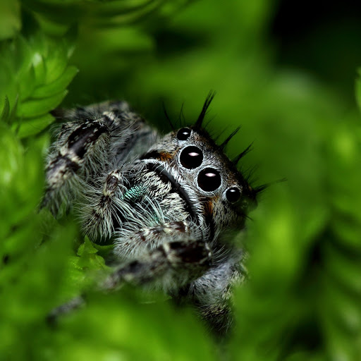 Hd-174956-ascw174956