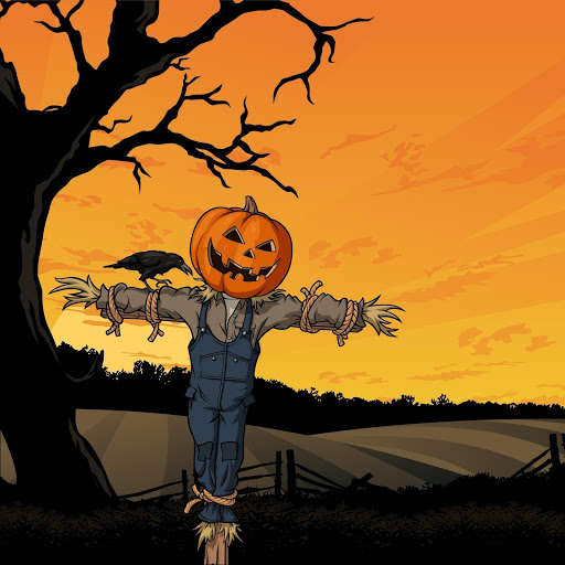 Hd-151088-ascw151088