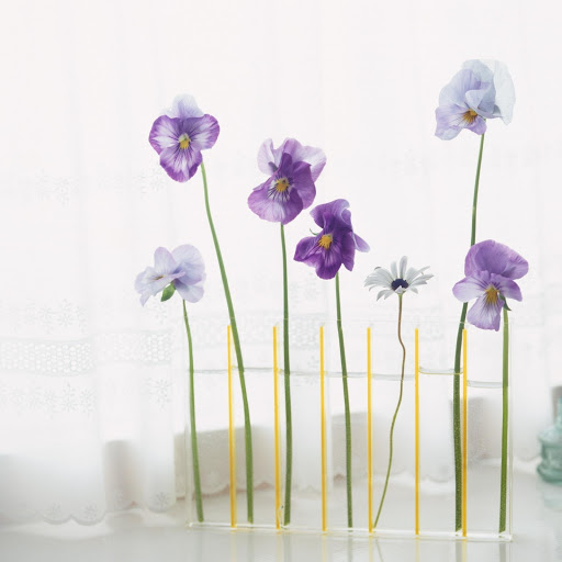 Hd-170671-ascw170671