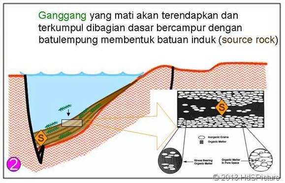 [proses-pembentukan-minyak-bumi-23[2].jpg]