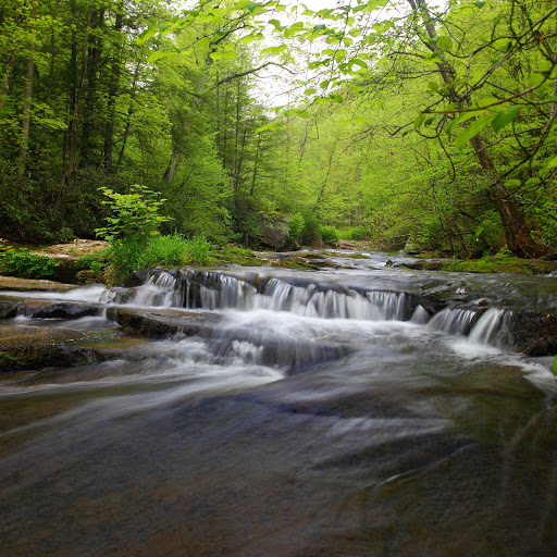 Hd-174548-ascw174548