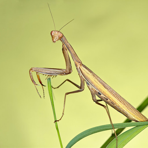 Hd-161121-ascw161121