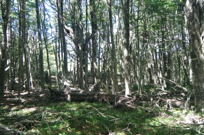 DSCF9261.JPG DSCF9261