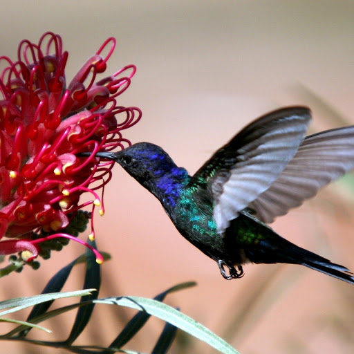 Hd-181285-ascw181285