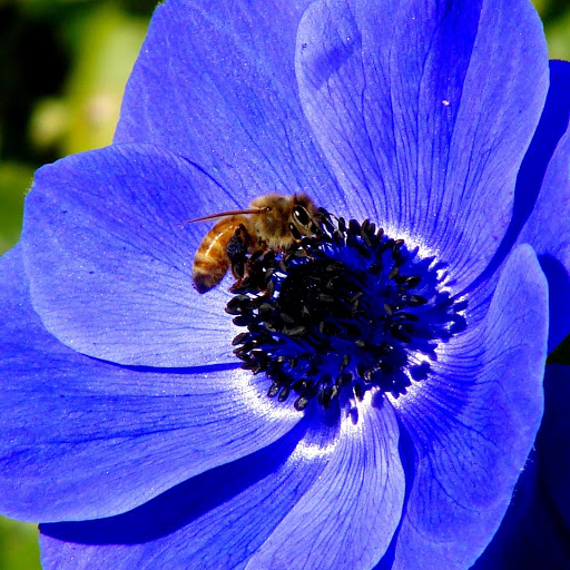 Hd-163587-ascw163587