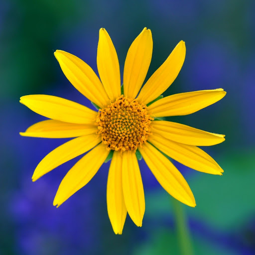 Hd-142719-ascw142719