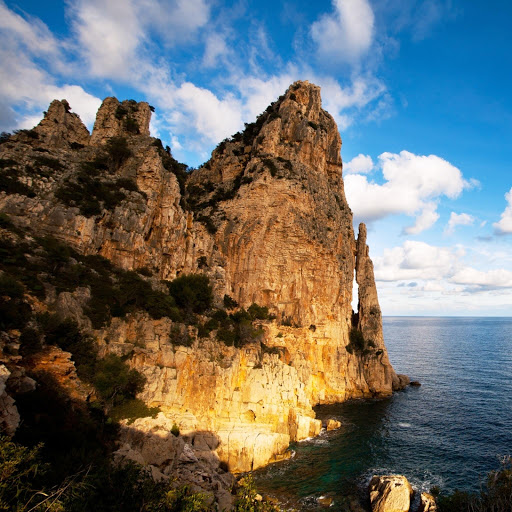 Hd-142159-ascw142159