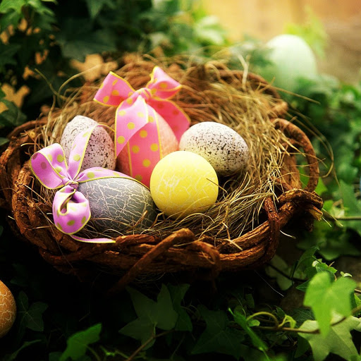 Hd-151187-ascw151187