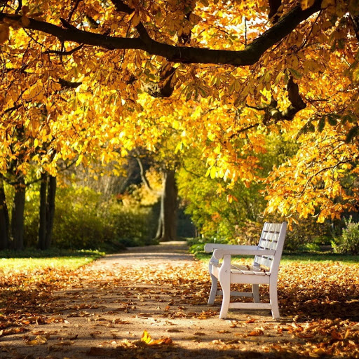 Hd-149982-ascw149982