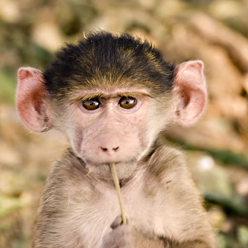 Hd-134643-ascw134643