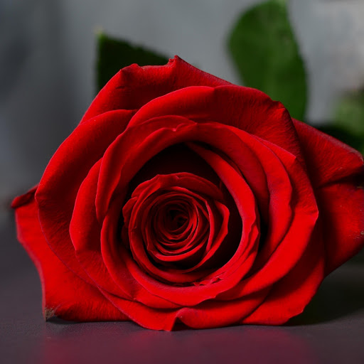 Hd-175344-ascw175344