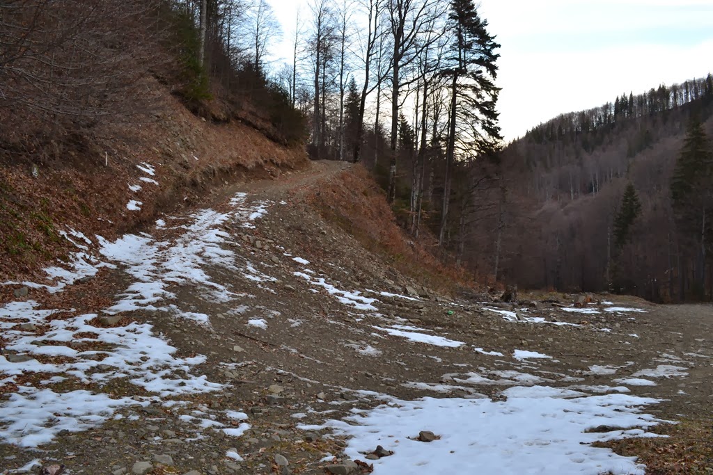 [DSC_03213.jpg]