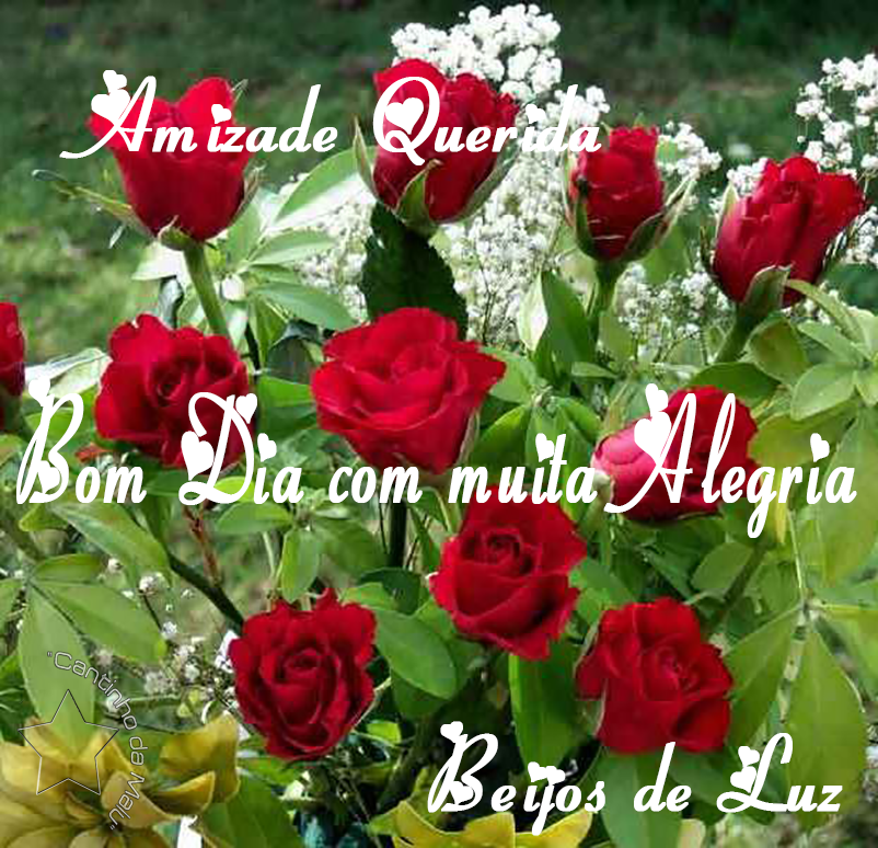 11redroses2.png