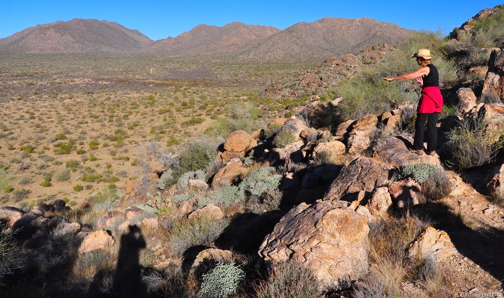 [DSC_0011%255B4%255D.jpg]