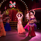 IMG_6684.jpg