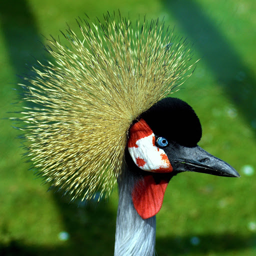 Hd-152832-ascw152832