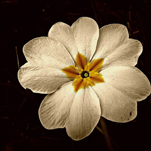 Hd-146599-ascw146599