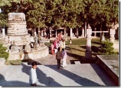 SueReno_Mahabodhi Stupas 2