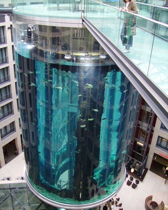 Cylindrical Aquarium 08