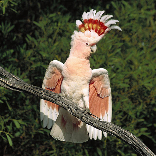 Hd-151221-ascw151221