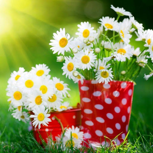 Hd-148416-ascw148416