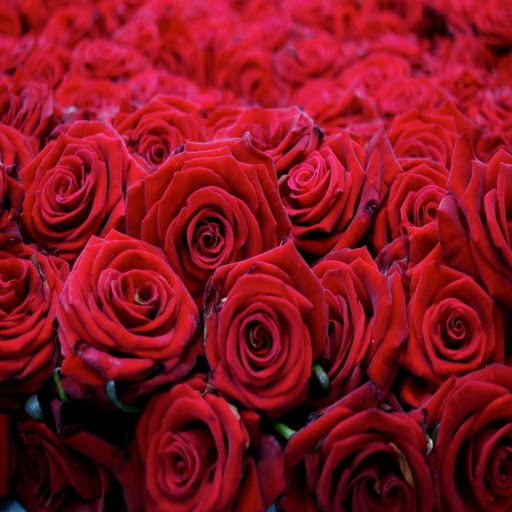 Hd-169573-ascw169573