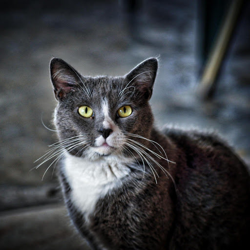 Hd-177129-ascw177129