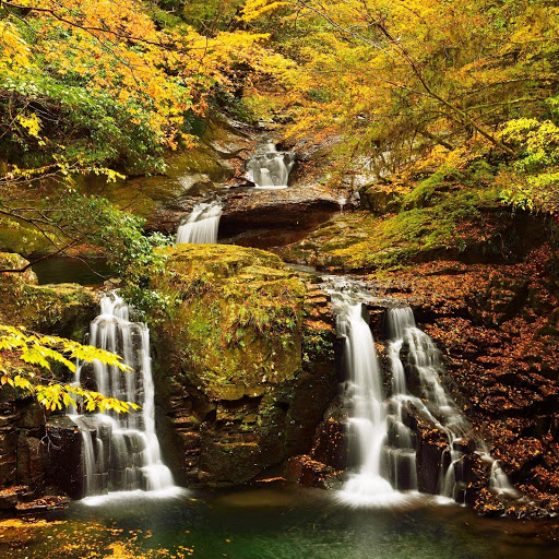 Hd-151501-ascw151501