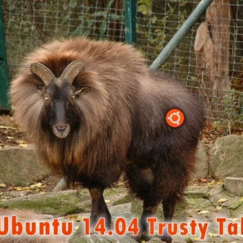 Svelato il nome e la roadmap di Ubuntu 14.04: c’è un caprone in arrivo.