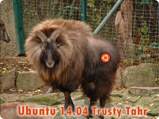 ubuntu14_04_Trusty Tahr