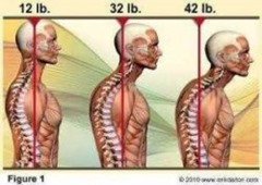 Weight-of-head Weight-of-head