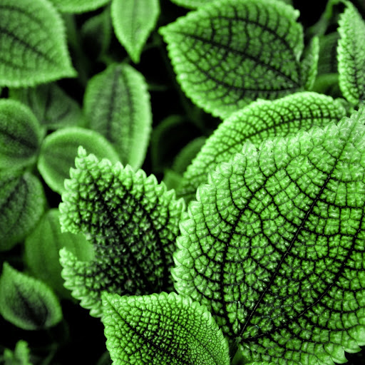 Hd-179963-ascw179963