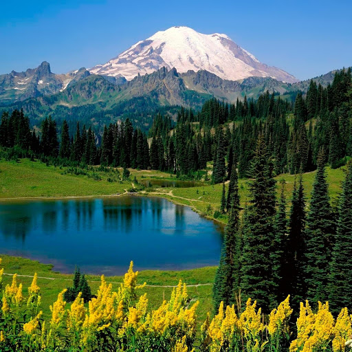 Hd-152000-ascw152000