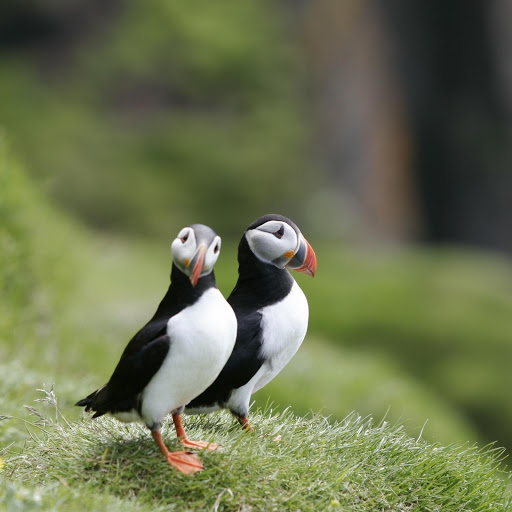 Hd-177814-ascw177814