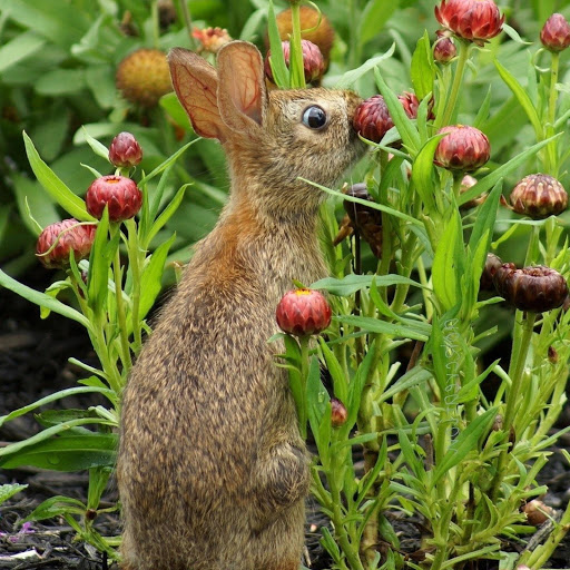 Hd-180567-ascw180567