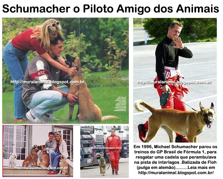 [Schumacher_Piloto_Animais3.jpg]