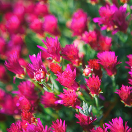 Hd-166625-ascw166625