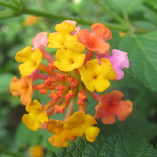 Hd-139368-ascw139368