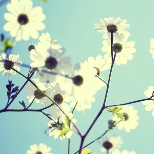 Hd-172325-ascw172325