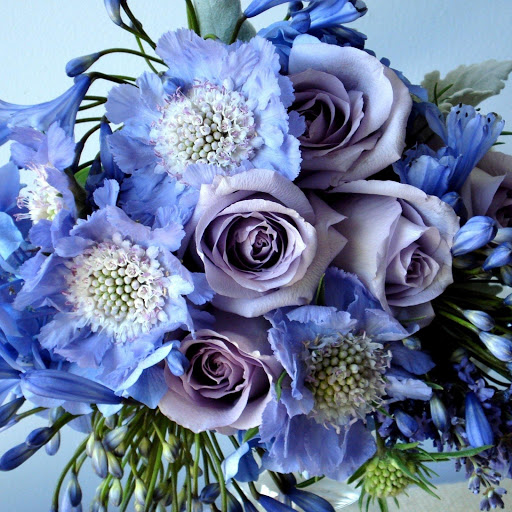 Hd-149229-ascw149229