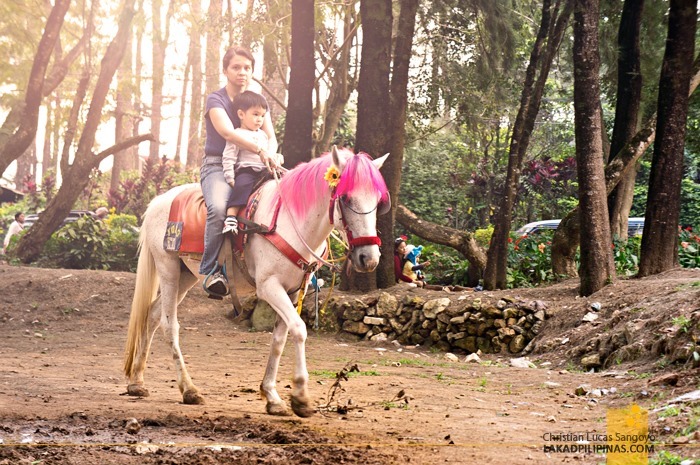 Horse Ride at Baguio City's Wright Park