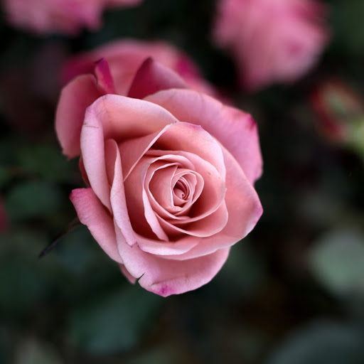 Hd-157836-ascw157836