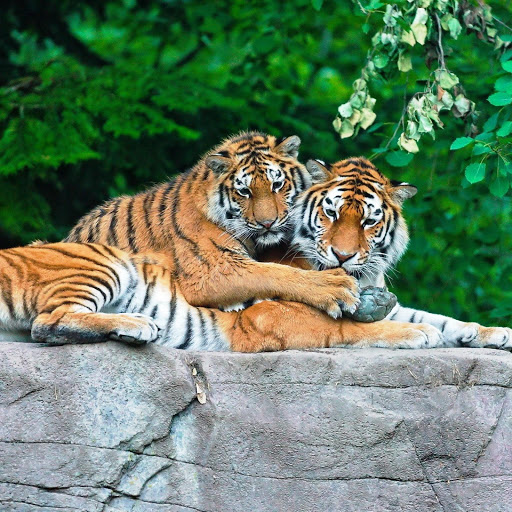 Hd-141778-ascw141778